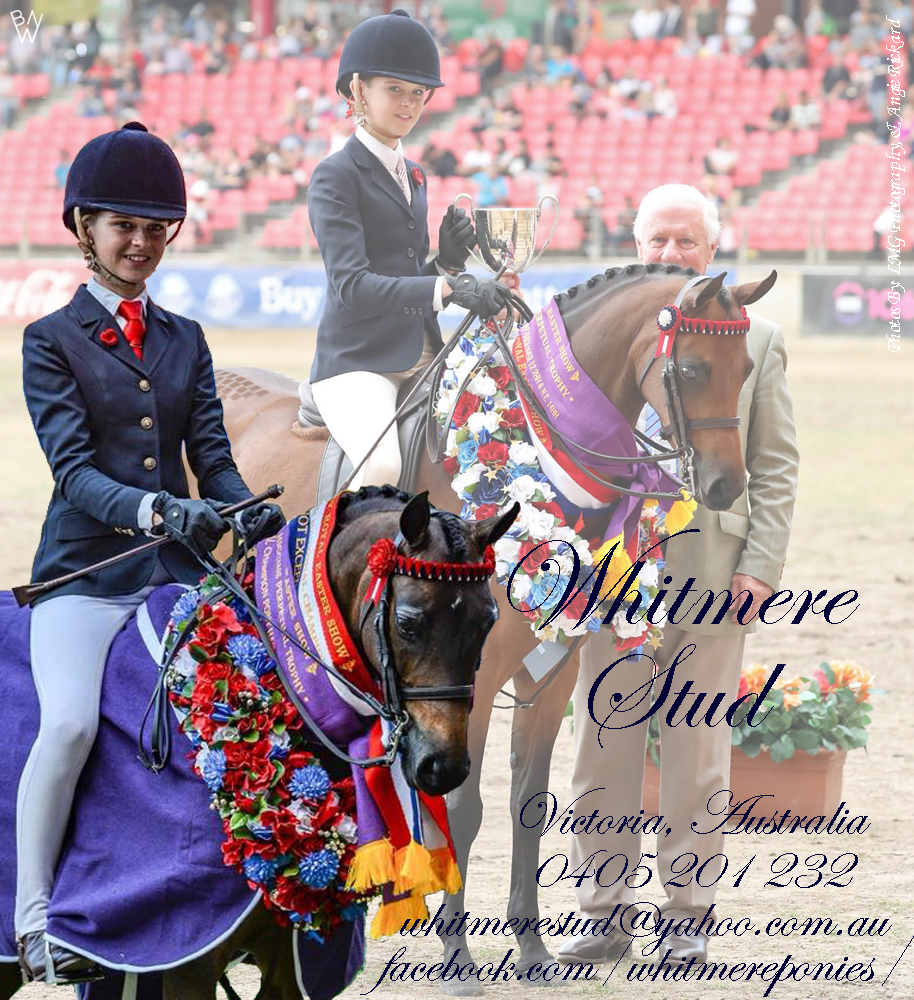 Whitmere Ponies