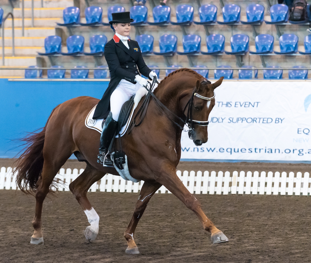 Nsw Dressage Championships 2024 Live Carlin Bonnibelle