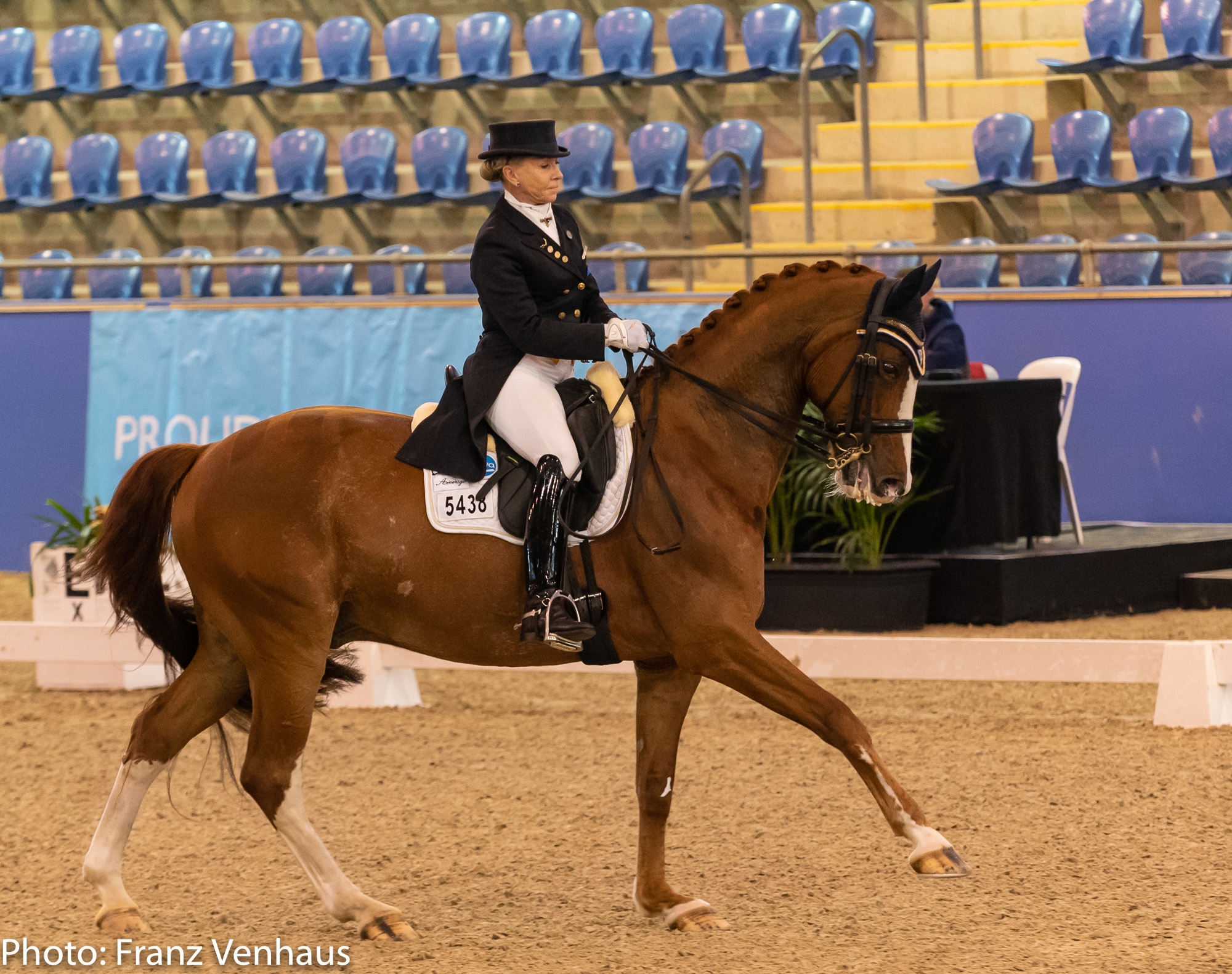 Nsw Dressage Championships 2025 Live Stream Ambur Lilyan